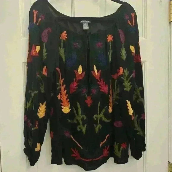 chelsea theodore Women's Embroided BlouseSize S-oversize - Picture 2 of 4